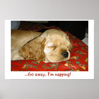 Napping Poster
