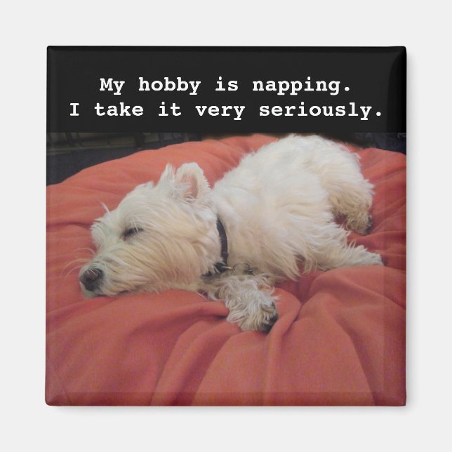 Napping Westie Foto Magnet (Vorne)