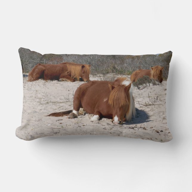 Napping Wild Ponies im Nationalpark Assateague Lendenkissen (Vorderseite)