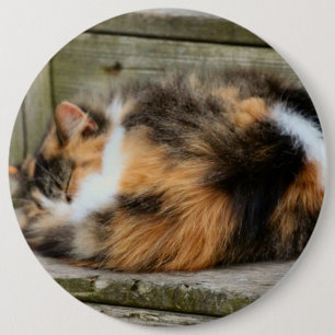 Naptime Button