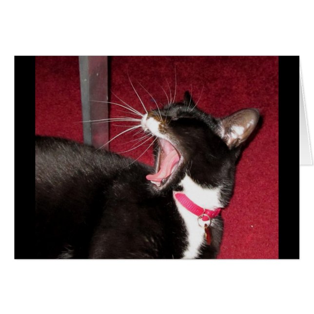 Naptime für Lucy (Vorderseite (Horizontal))