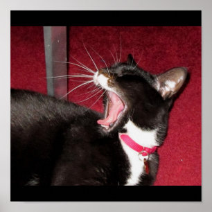 Naptime für Lucy Poster