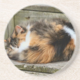 Naptime Getränkeuntersetzer