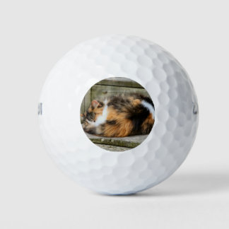 Naptime Golfball