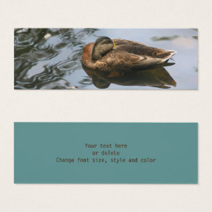 Naptime Mallard Duck Nature Mini Lesezeichen