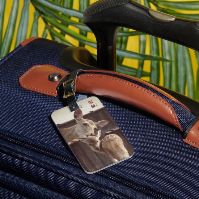 Nara, Japan - Sika Deer - Mutter und Vater Gepäckanhänger (Vorderseite Insitu 1)