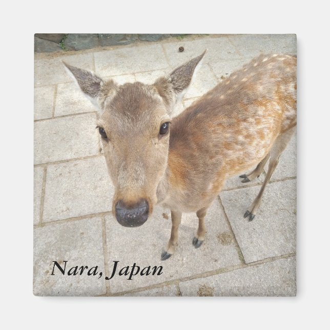 Nara Japan Souvenir Foto Magnet (Vorne)