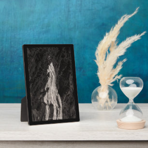 Narada Falls, WA Fotoplatte