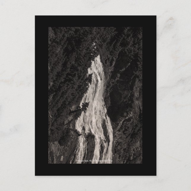 Narada Falls, WA Postkarte (Vorderseite)