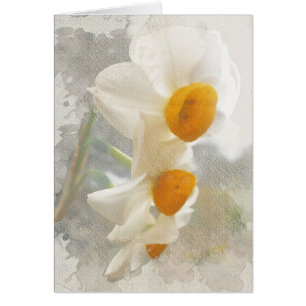 Narcisse. Watercolor.