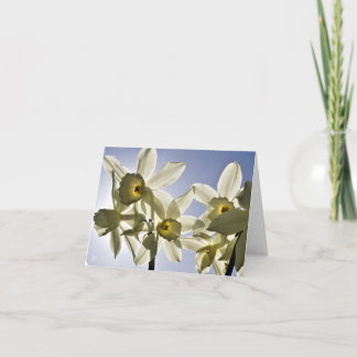 Narcissen die bloeien met een lente blauwe lucht  dankeskarte