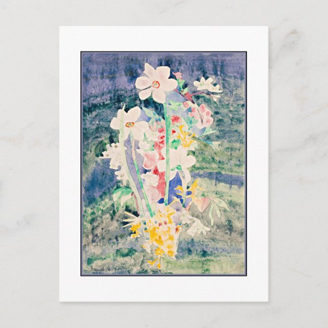 Narcissi, Gemälde von Charles Demuth, Postkarte (Vorderseite)