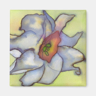 Narcissus Magnet