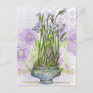 Narcissus Paperwhite Pansy Blume Collage Postkarte