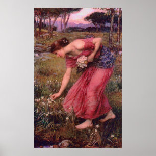 Narcissus Picking Blume Poster