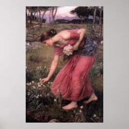 Narcissus von John William Waterhouse - 1912 Poster