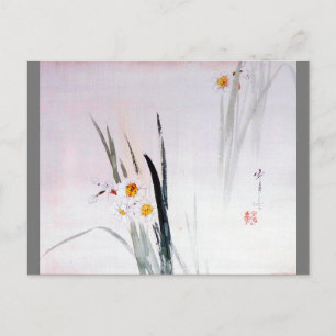 Narcissus, Watanabe Seitei Postkarte