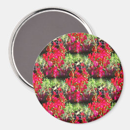 Narnelenreihen.... Magnet