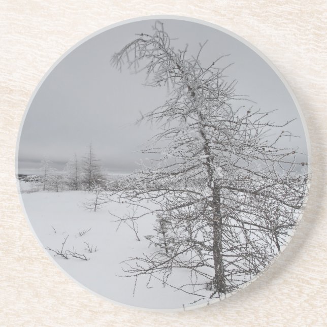 Narnia Getränkeuntersetzer (Vorne)