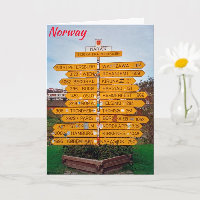 Narvik, Norwegen Karte (Kleine Pflanze)