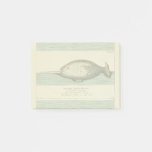 Narwhal Antique Whale Aquarellmalerei Post-it Klebezettel