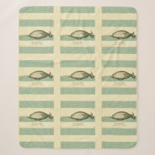 Narwhal Antique Whale Aquarellmalerei Sherpadecke