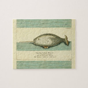 Narwhal Antique Whale Watercolor Wissenschaftliche