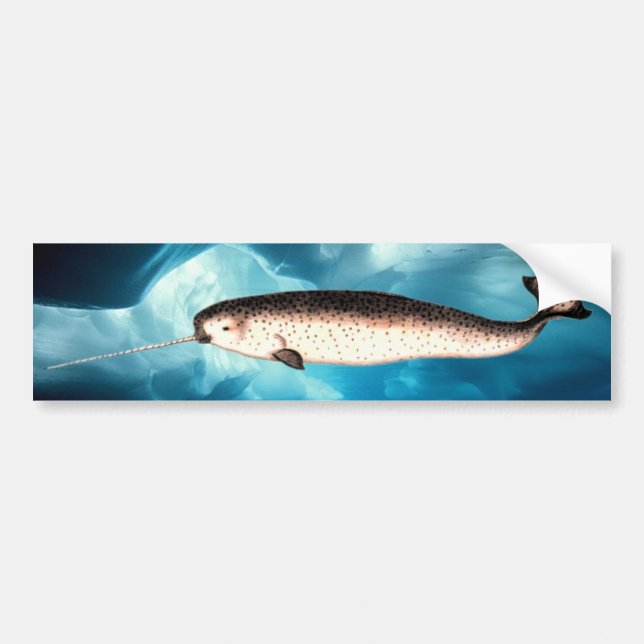 Narwhal Autoaufkleber (Vorne)