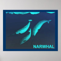 Narwhal