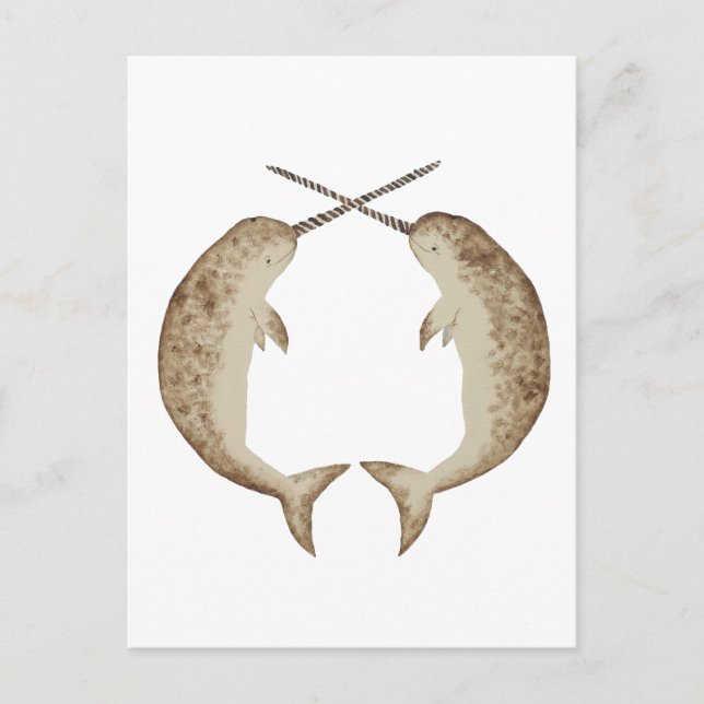 Narwhal Postkarte (Vorderseite)