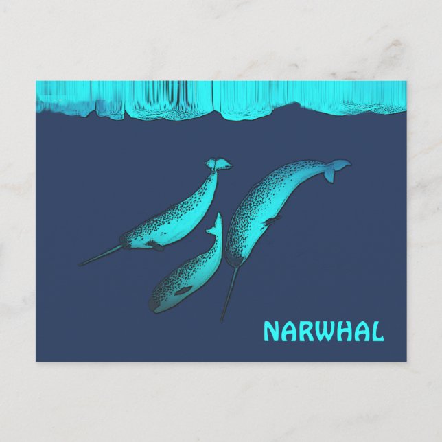 Narwhal unter dem Eis Postkarte (Vorderseite)