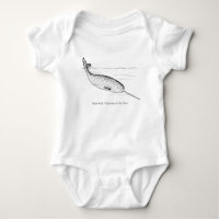 Narwhal Whale Einhorn des Meeres