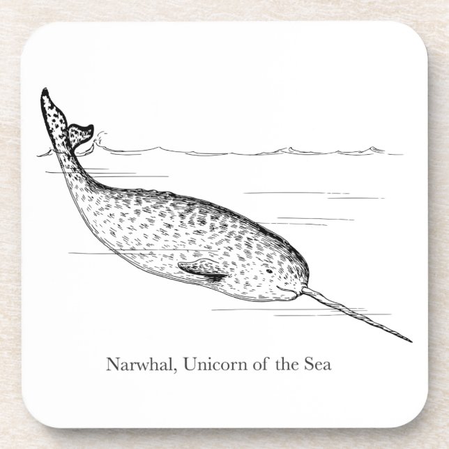 Narwhal Whale Einhorn des Meeres Getränkeuntersetzer (Vorderseite)