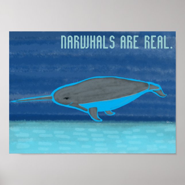 Narwhals sind echt poster (Vorne)