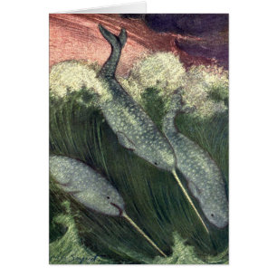Narwhals vintages, Vie Marine Baleines Animaux mar