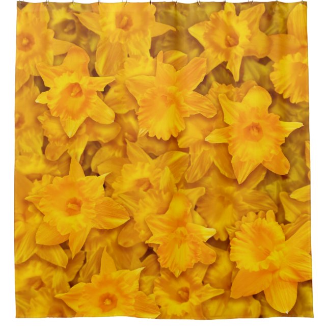 Narziss-Blume Duschvorhang (Vorderseite)