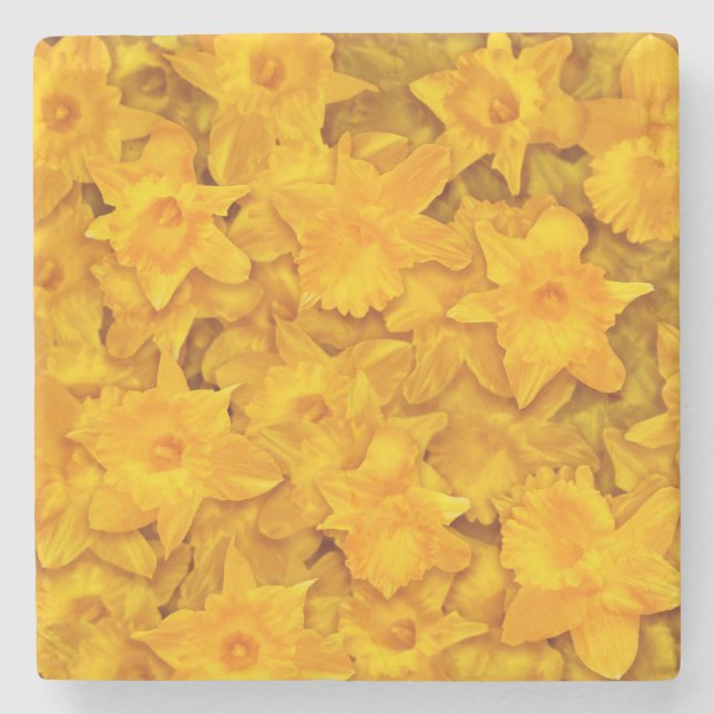 Narziss-Blume Steinuntersetzer (Vorderseite)