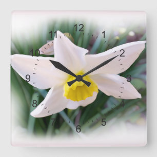 Narziss in hellen Tönen Quadratische Wanduhr