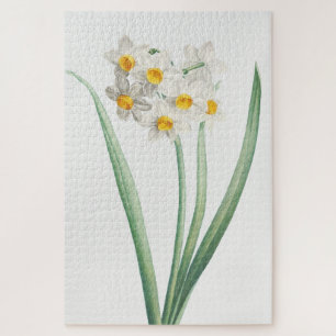 Narziss, Pierre-Joseph Redouté, 1805