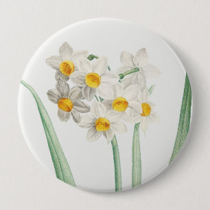 Narziss, Pierre-Joseph Redouté, 1805 Button