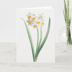 Narziss, Pierre-Joseph Redouté, 1805 Karte