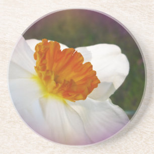 Narziss - Springtime Beauty Untersetzer