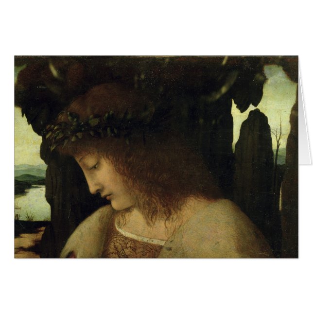 Narzisse am Brunnen (Vorderseite (Horizontal))