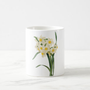 Narzisse (Narzisse tazetta) durch Redouté Kaffeetasse