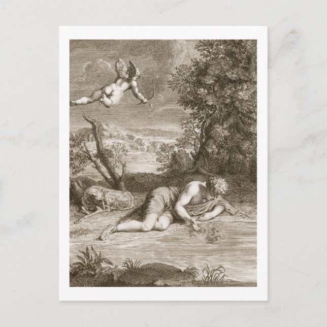 Narzisse Umwandlung in eine Blume, 1730 (engravi Postkarte (Vorderseite)