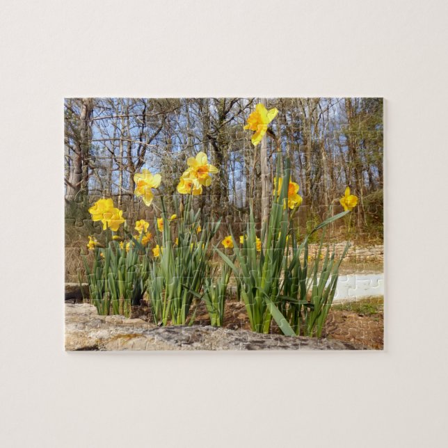 Narzissen am Ostern-Foto-Puzzlespiel mit (Horizontal)