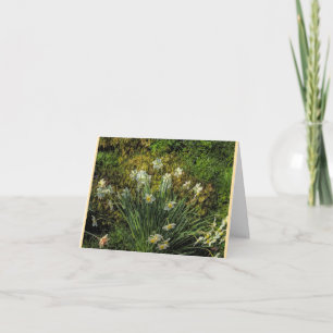 Narzissen in Stenton House Folded Note Card Dankeskarte