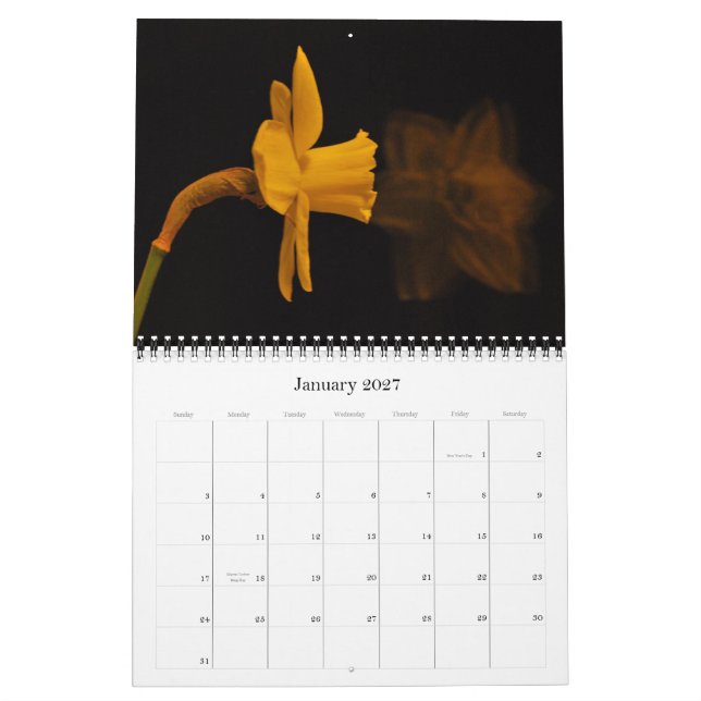 Narzissen Kalender (Jan 2027)