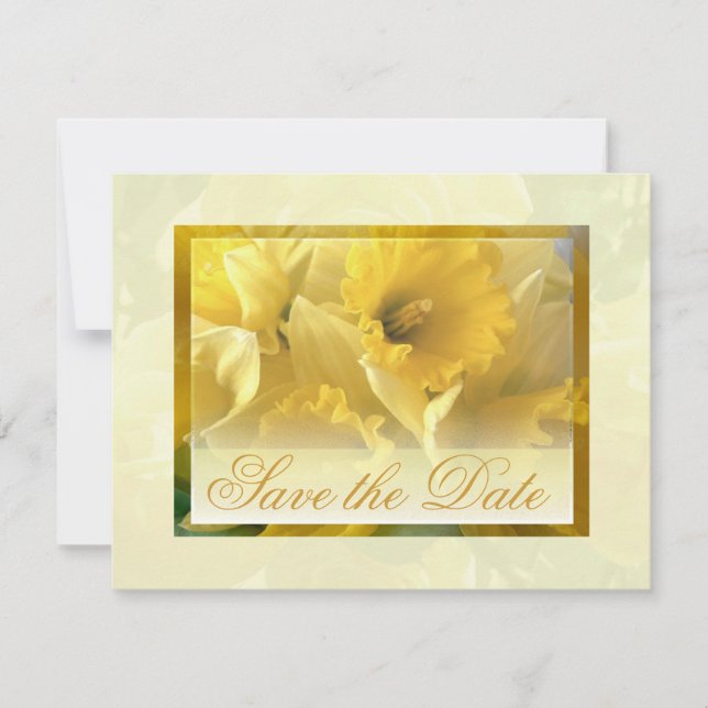 Narzissenankündigungen Einladung (Vorderseite)