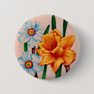 NarzissenBlume Button